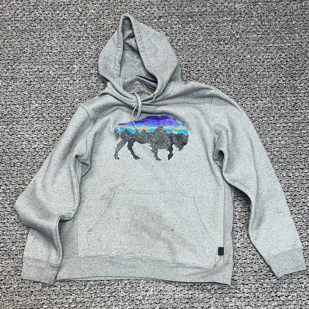 Gray Hoodie with Buffalo Graphic